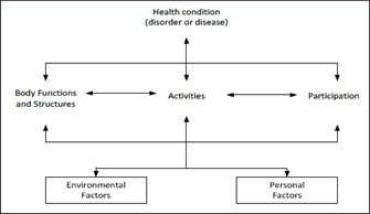 Figure 1: Interaction between the components of the ICF