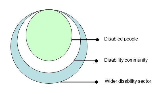 A diagram depicting 3 concentric circles - the centre circle represents disabled people, which is contained in the middle circle which represents the disability community, which is contained by the outer circle represents the wider disability sector