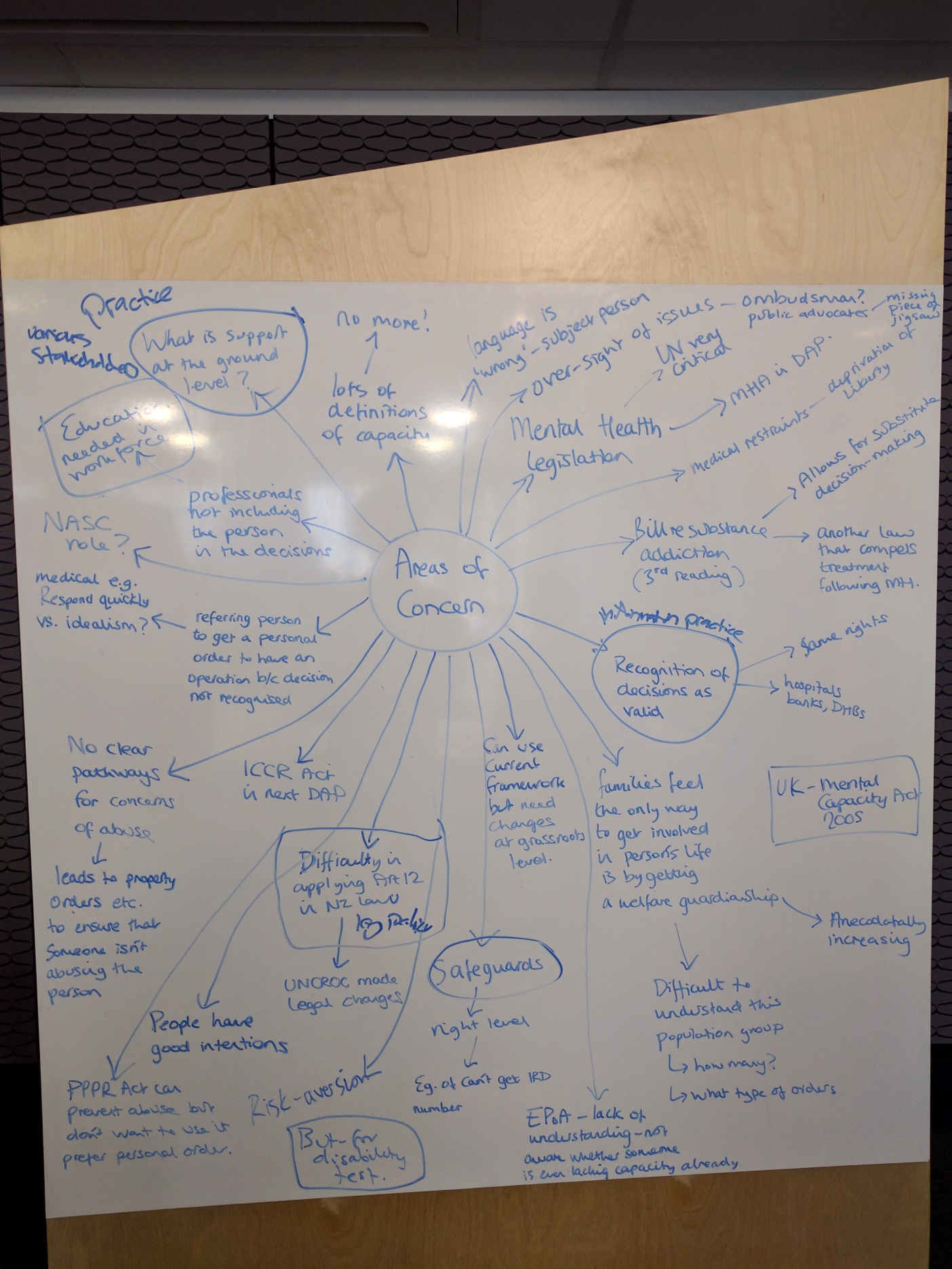 NZ ODI whiteboard capture of areas of concern on legal capacity issues
