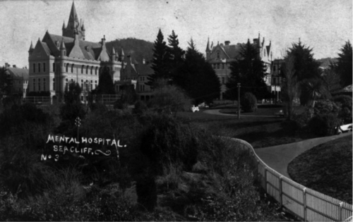 Seacliff Hospital, Dunedin, showing the grounds, taken 1912